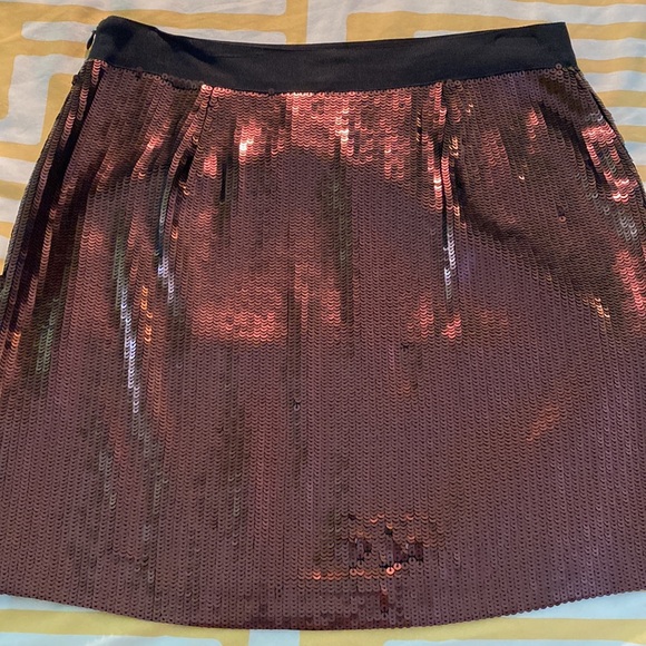 Banana Republic Sequined Skirt - Picture 3 of 3